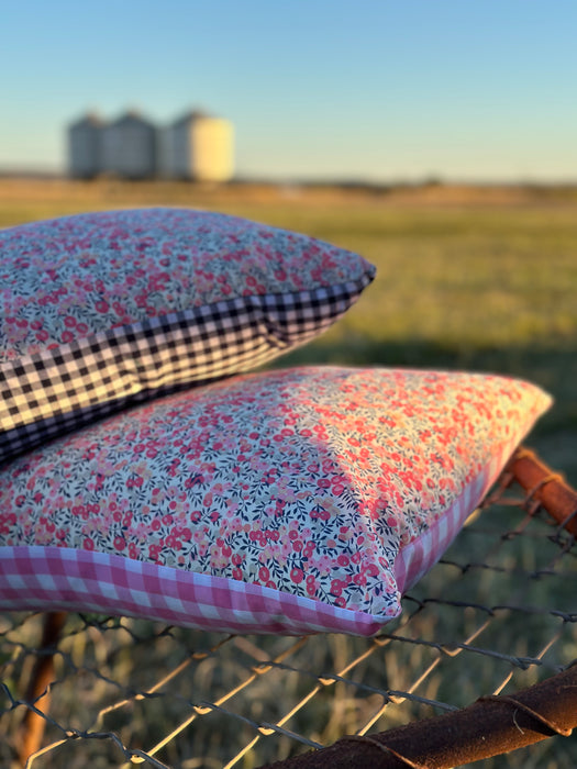 Wiltshire D with Pink Gingham