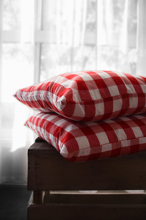 Red Gingham Cushion